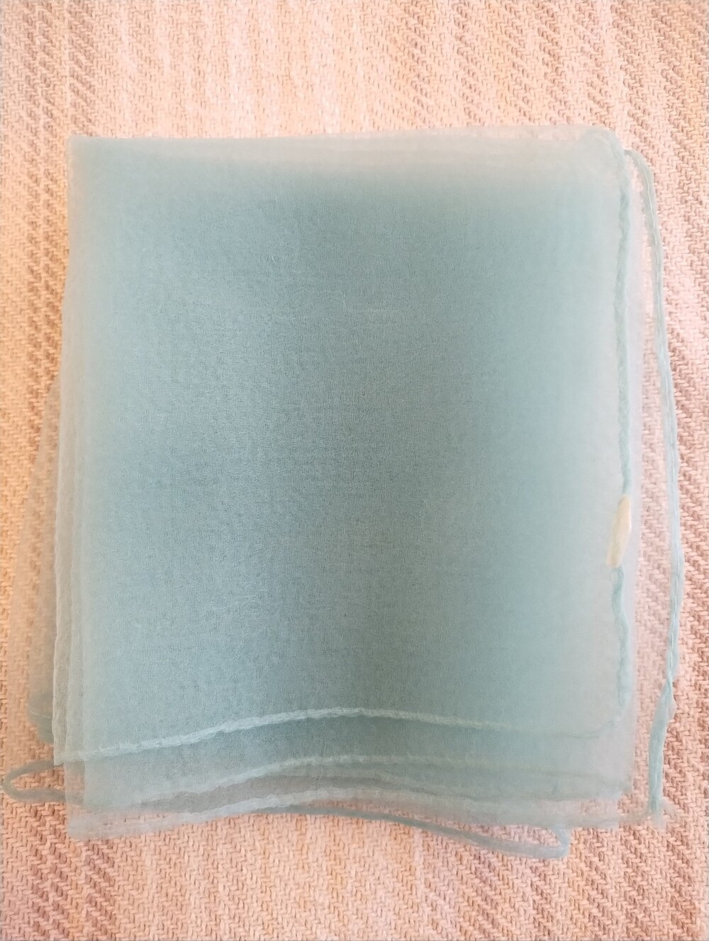 Vintage Sheer Light Blue Nylon Scarf